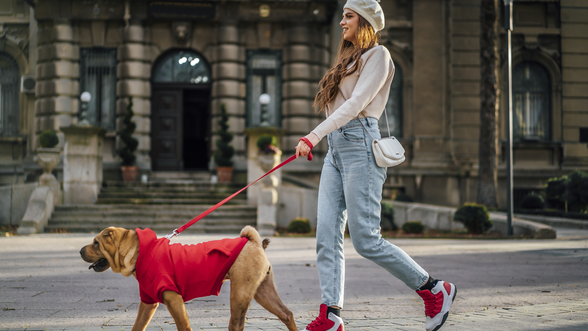 Pet Friendly Living Pet Friendly Living